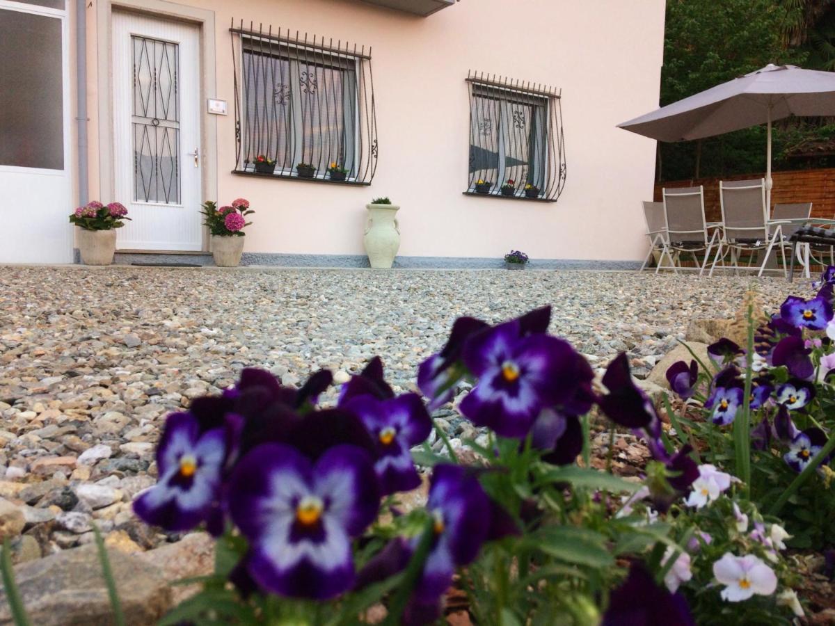 Il Ciliegio Affittacamere Stresa Eksteriør bilde